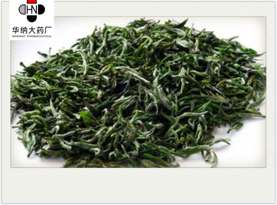Epicatechol （EC ） 47.5%-52.5%（HPLC）  Green Tea Extract  GMP/DML/Registered in Korea，Pharmaceutical grade