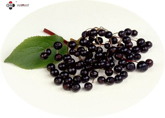 GMP Anti Aging Water Soluble Pure Elderberry Extract
